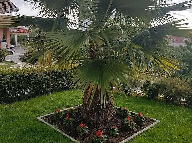 Smokvica بيت ضيافة
